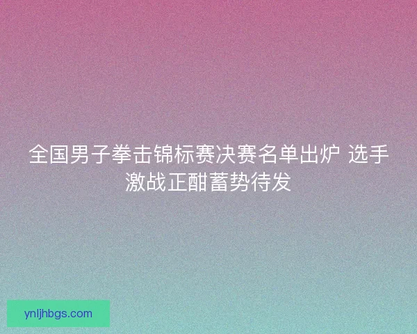 全国男子拳击锦标赛决赛名单出炉 选手激战正酣蓄势待发