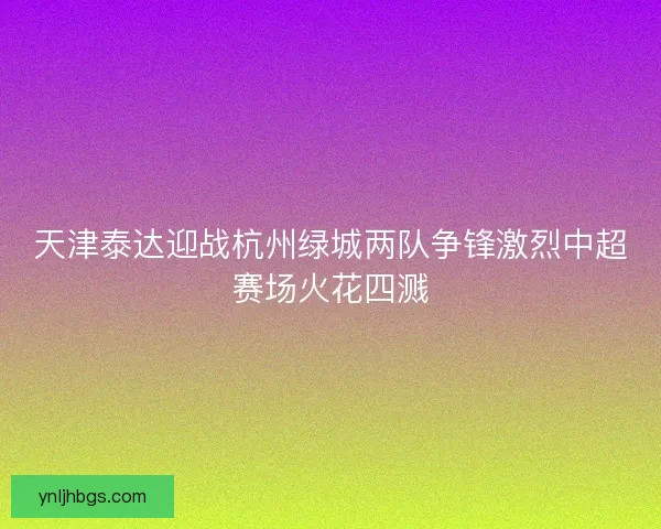 天津泰达迎战杭州绿城两队争锋激烈中超赛场火花四溅
