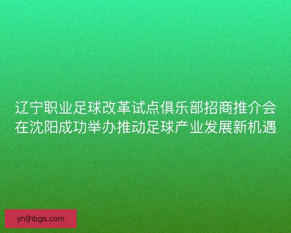 辽宁职业足球改革试点俱乐部招商推介会在沈阳成功举办推动足球产业发展新机遇