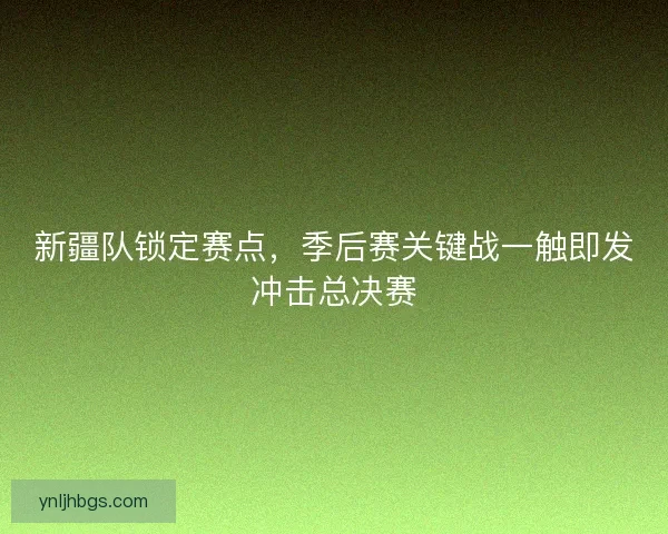 新疆队锁定赛点，季后赛关键战一触即发冲击总决赛